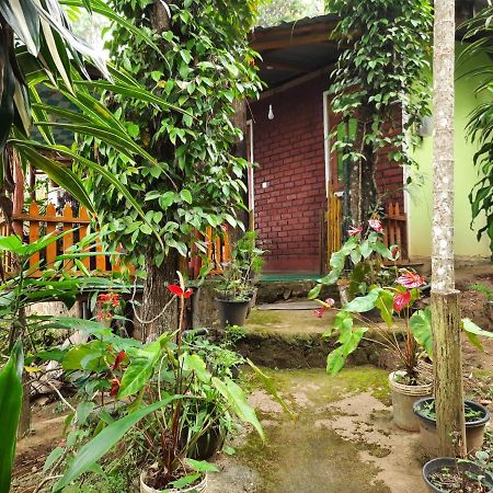 Green Heaven Lodge 埃拉 外观 照片