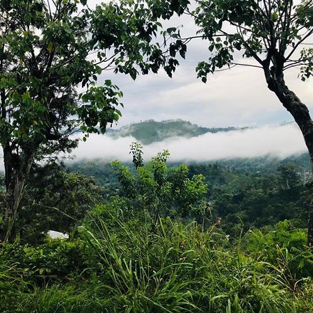 Green Heaven Lodge 埃拉 外观 照片