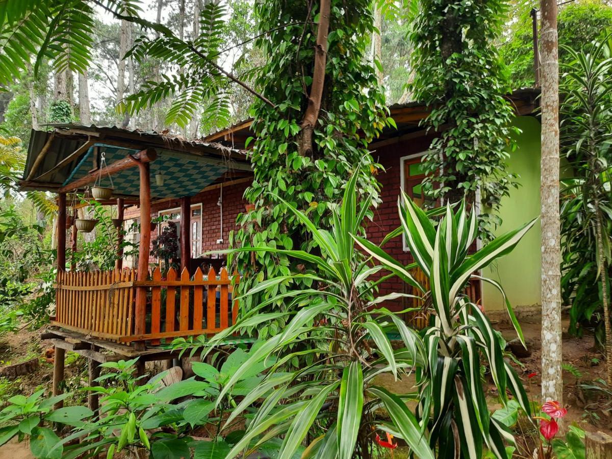 Green Heaven Lodge 埃拉 外观 照片