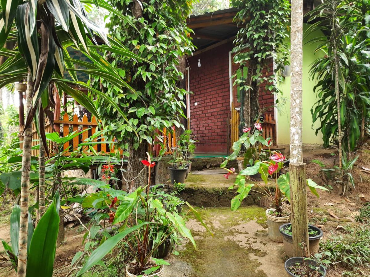 Green Heaven Lodge 埃拉 外观 照片