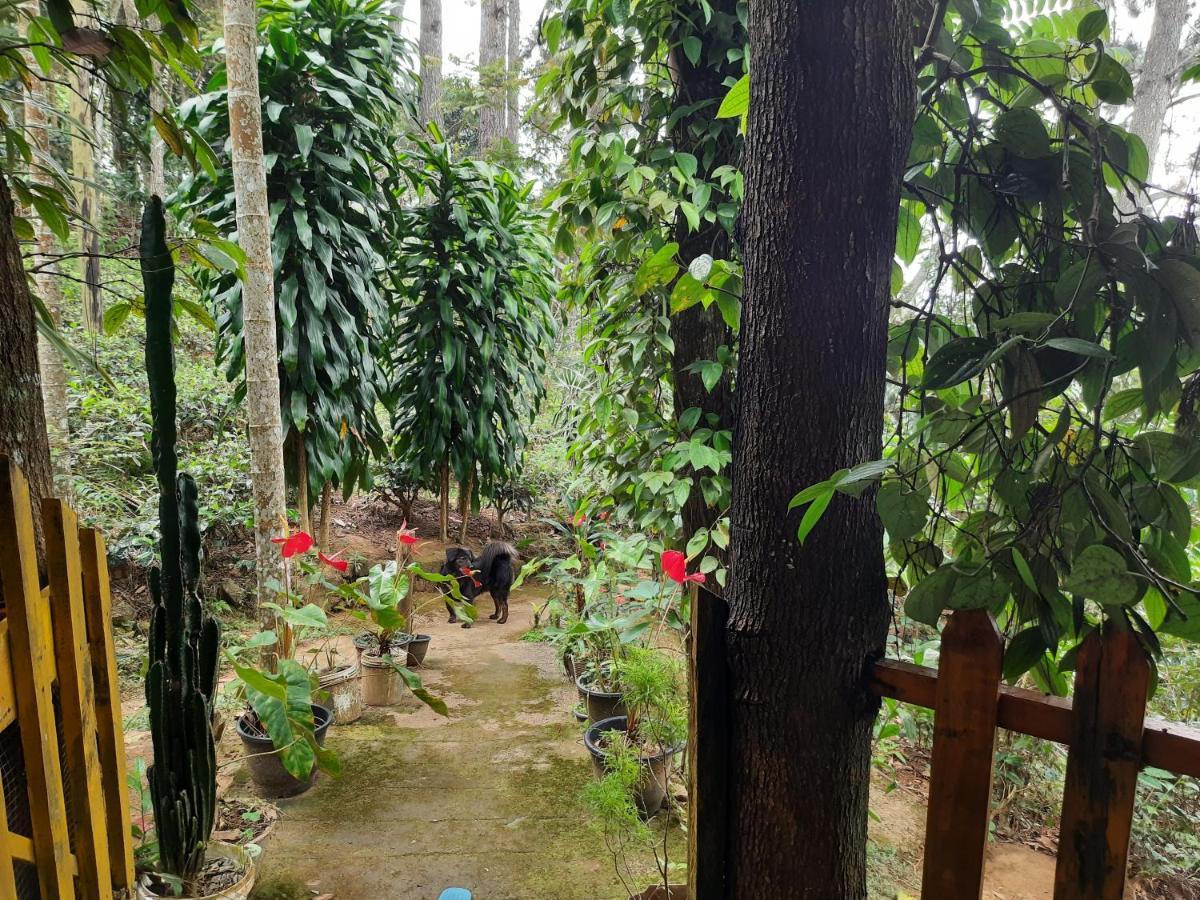 Green Heaven Lodge 埃拉 外观 照片