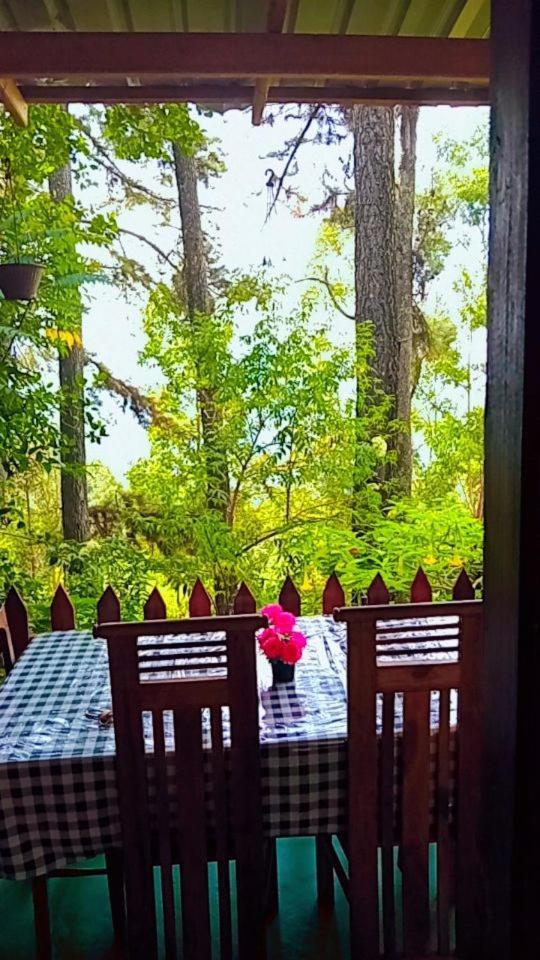 Green Heaven Lodge 埃拉 外观 照片