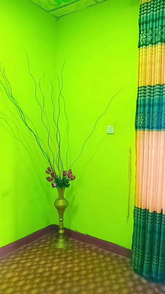 Green Heaven Lodge 埃拉 外观 照片