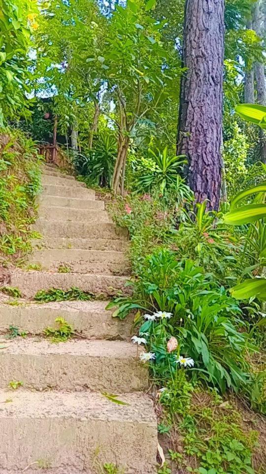 Green Heaven Lodge 埃拉 外观 照片