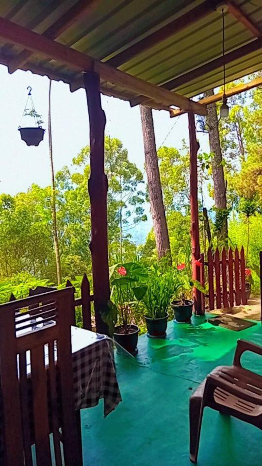 Green Heaven Lodge 埃拉 外观 照片