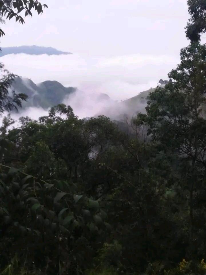 Green Heaven Lodge 埃拉 外观 照片