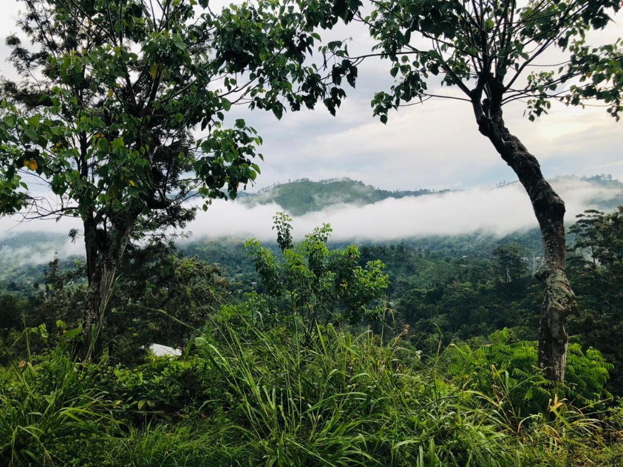 Green Heaven Lodge 埃拉 外观 照片