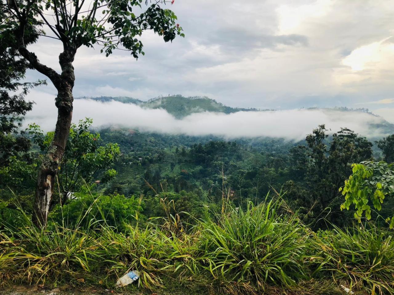 Green Heaven Lodge 埃拉 外观 照片