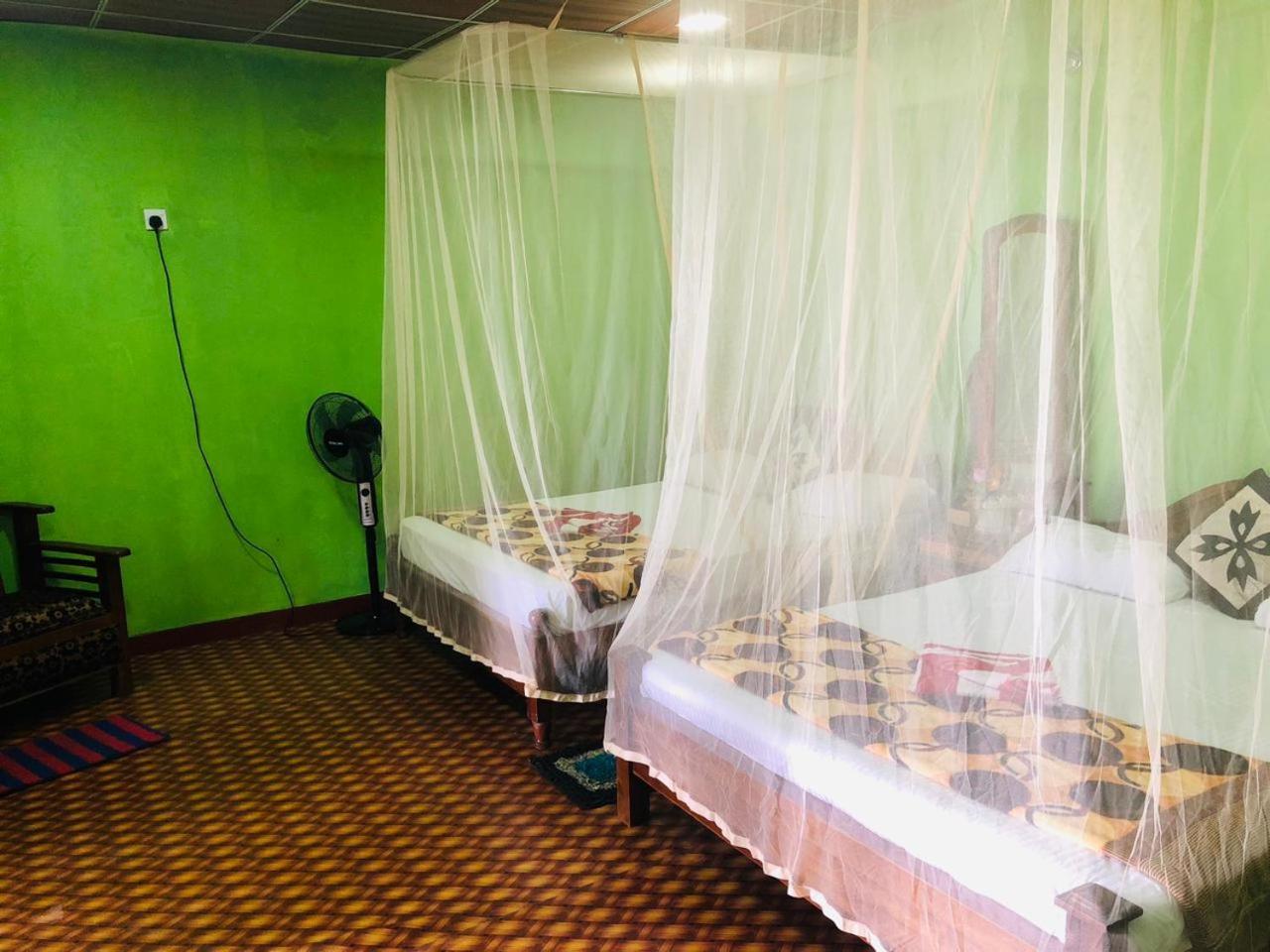 Green Heaven Lodge 埃拉 外观 照片